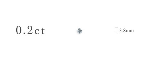 0.2ct