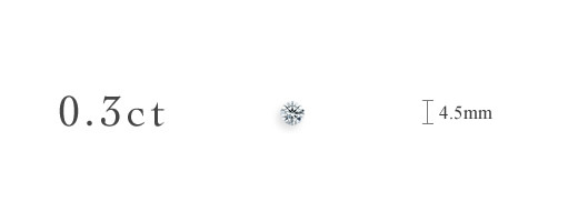 0.3ct